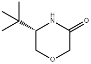 (5S)-5-(1,1-diMethylethyl-3-Morpholinone