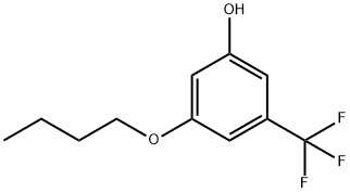 Phenol, 3-butoxy-5-(trifluoromethyl)- Structural