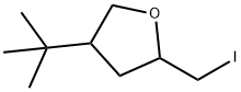 Furan, 4-(1,1-dimethylethyl)tetrahydro-2-(iodomethyl)- Structural
