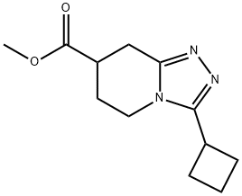 2060025-01-4 structural image