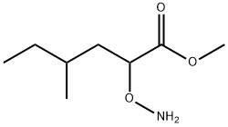 Hexanoic acid, 2-(aminooxy)-4-methyl-, methyl ester Structural