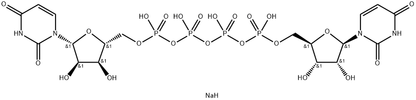 INS 365 Structural