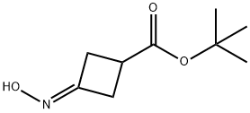 tert-butyl 3-(hydroxyimino)cyclobutane-1-carboxylate Structural