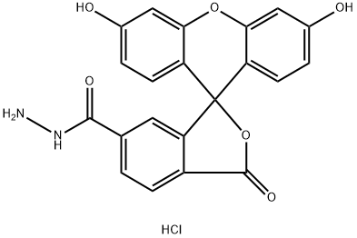 FAM hydrazide, 6-isomer