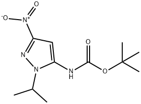 tert-butyl (1-isopropyl-3-nitro-1H-pyrazol-5-yl)carbamate Structural