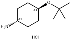 trans-4-tert-Butoxy-cyclohexylamine hydrochloride