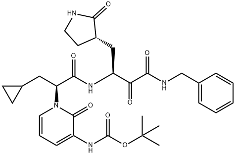 SARS-CoV-2-IN-1 Structural