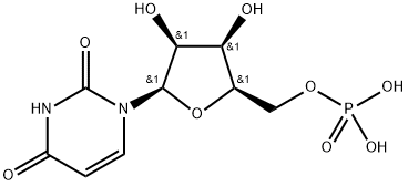 Uracil Lyxonucleoside 5''-Phosphate Structural