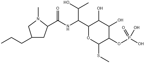 LincoMycin 2-Phosphate Structural