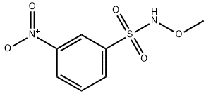 Benzenesulfonamide, N-methoxy-3-nitro- Structural