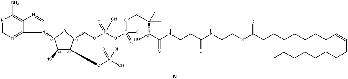 Oleoyl coenzyme A potassium salt Structural