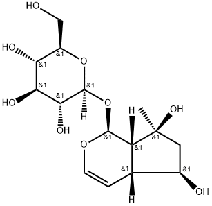 Ajugol Structural