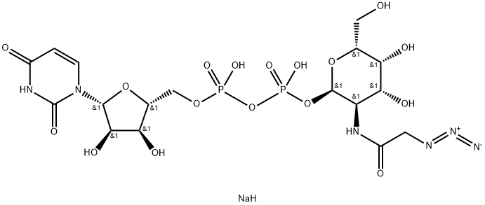 UDP-GalNAz.2Na Structural