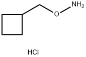 O-(cyclobutylmethyl)hydroxylamine hydrochloride Structural