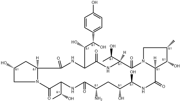 ECHINOCANDIN B Structural