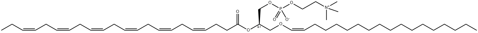 C18(Plasm)-22:6 PC Structural