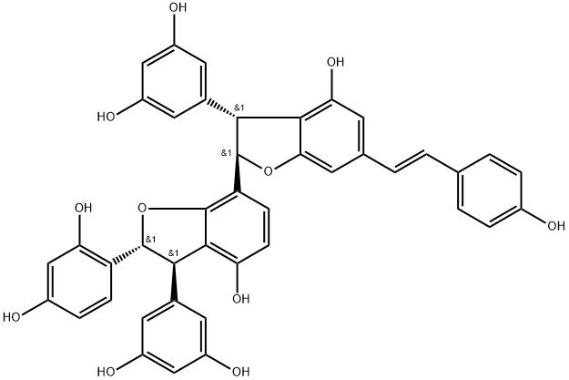 Gnetumontanin B Structural