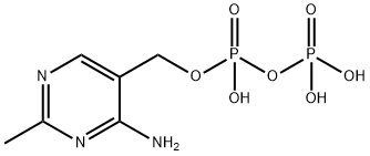 HMP-PP Structural
