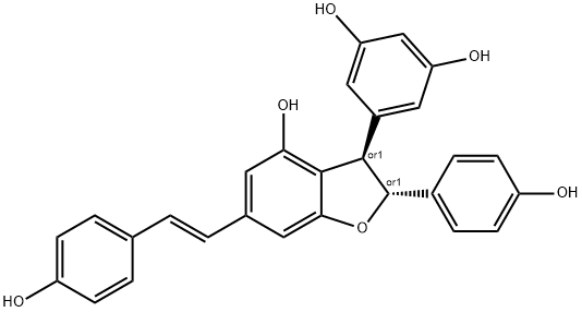 GNETIN C STANDARD Structural
