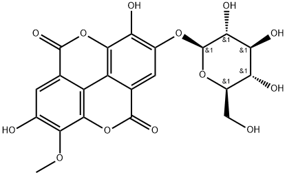 Stachyanthuside A Structural