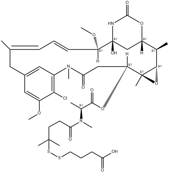 DBA-DM4 Structural