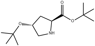 O-tert·Butyl-trans-4-hydroxy-L-prolinetert·butyl Structural