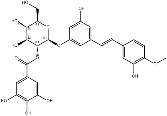 Rhaponticin 2''-O-gallate