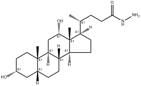 Hydrazine amide of deoxycholic acid Structural