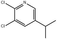 Pyridine, 2,3-dichloro-5-(1-methylethyl)- Structural