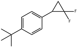 Benzene, 1-(2,2-difluorocyclopropyl)-4-(1,1-dimethylethyl)- Structural