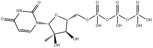 Uridine 5'-(tetrahydrogen triphosphate), 2'-C-methyl- Structural