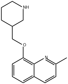 Quinoline, 2-methyl-8-(3-piperidinylmethoxy)- Structural