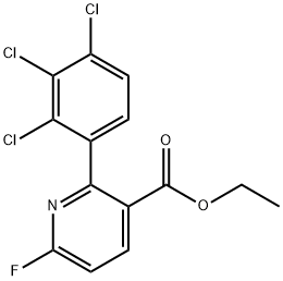 Ethyl 6-fluoro-2-(2,3,4-trichlorophenyl)nicotinate Structural