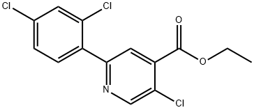 Ethyl 5-chloro-2-(2,4-dichlorophenyl)isonicotinate Structural