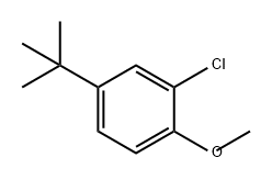Benzene, 2-chloro-4-(1,1-dimethylethyl)-1-methoxy- Structural