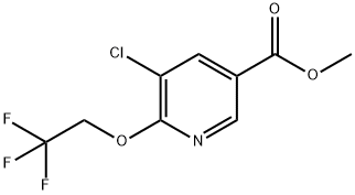methyl 5-chloro-6-(2,2,2-trifluoroethoxy)nicotinate Structural
