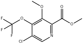 Methyl 5-chloro-3-methoxy-4-(trifluoromethoxy)pyridine-2-carboxylate Structural