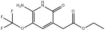 Ethyl 2-amino-6-hydroxy-3-(trifluoromethoxy)pyridine-5-acetate Structural
