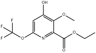 Ethyl 4-hydroxy-3-methoxy-6-(trifluoromethoxy)pyridine-2-carboxylate Structural