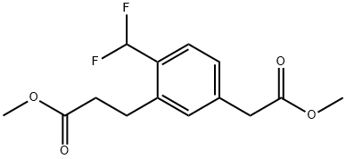 Methyl 4-(difluoromethyl)-3-(3-methoxy-3-oxopropyl)phenylacetate Structural