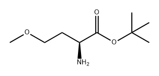 Homoserine, O-methyl-, 1,1-dimethylethyl ester Structural