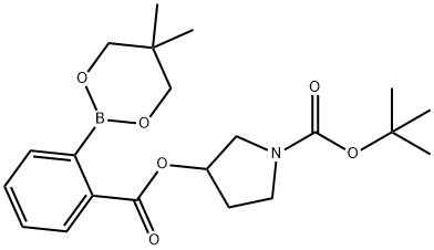 tert-Butyl 3-[2-(5,5-dimethyl-1,3,2-dioxaborinan-2-yl)benzoyloxy]pyrrolidine-1-carboxylate Structural