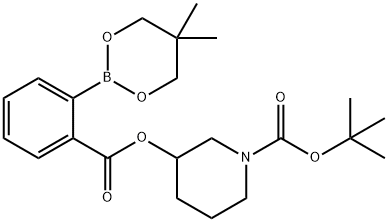 tert-Butyl 3-[2-(5,5-dimethyl-1,3,2-dioxaborinan-2-yl)benzoyloxy]piperidine-1-carboxylate Structural