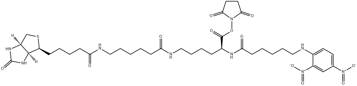 DNP-X-Biocytin-X, SE  [Biotin-X 2,4-Dinitrophenyl-X-L-Lysine, SucciniMidyl Ester] Structural