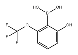 Boronic acid, B-[2-hydroxy-6-(trifluoromethoxy)phenyl]- Structural