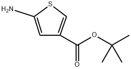 tert-butyl 5-aminothiophene-3-carboxylate Structural