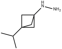 Hydrazine, [3-(1-methylethyl)bicyclo[1.1.1]pent-1-yl]- Structural