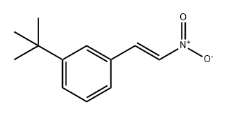 Benzene, 1-(1,1-dimethylethyl)-3-[(1E)-2-nitroethenyl]- Structural