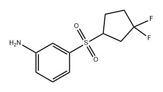 Benzenamine, 3-[(3,3-difluorocyclopentyl)sulfonyl]- Structural