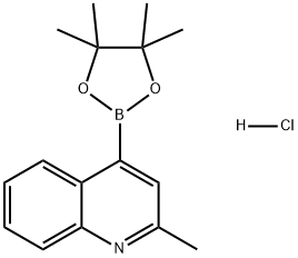 Quinoline, 2-methyl-4-(4,4,5,5-tetramethyl-1,3,2-dioxaborolan-2-yl)-, hydrochloride (1:1) Structural